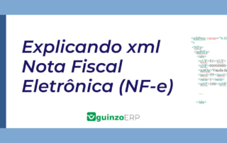 Imagem: Explicando xml nota fiscal eletrônica (Nf-e)