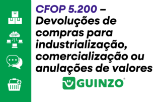 Devoluções de compras para industrialização, comercialização ou anulações de valores
